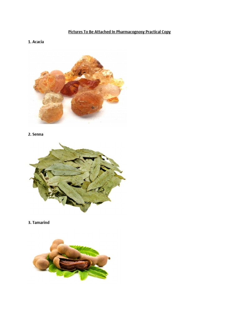 Pictures For Pharmacognosy Practicals 2 PDF