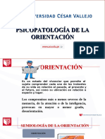 Sesión 03-2 - Psicopatología de La Orientacion