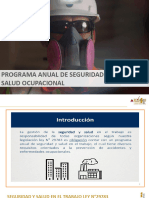 Programa Anual de Seguridad y Salud Ocupacional