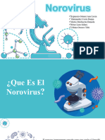 Norovirus