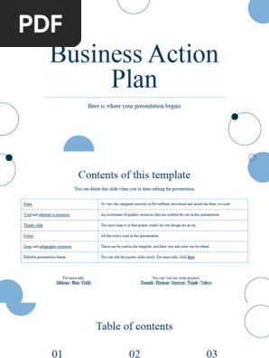 Business Action Plan