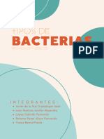 Tipos de Bacterias-6205