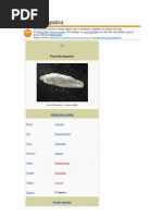 Download Fasciola hepatica by Gonzalo Carp Ponce SN68271033 doc pdf