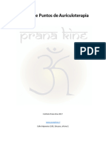 Manual de Puntos de Auriculoterapia - Prana Kine