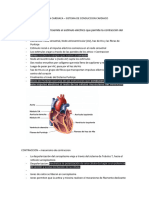 Celulas de Conduccion Cardiaca