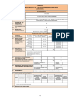 17 Resumen Ejecutivo - SS HH FLCH (F)