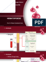 Aula 02 - Hematopoiese 2023