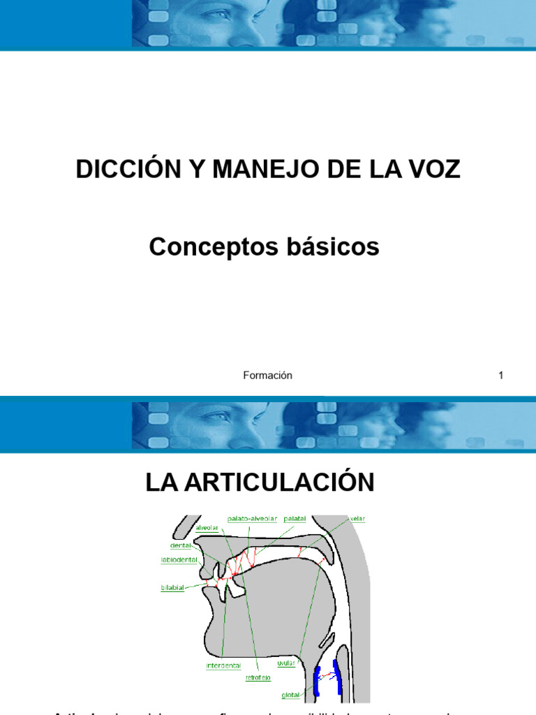 Diccion y Manejo de La Voz | PDF | Armonía | Lingüística