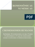 Alteraçôes Cromossômicas Numeéricas