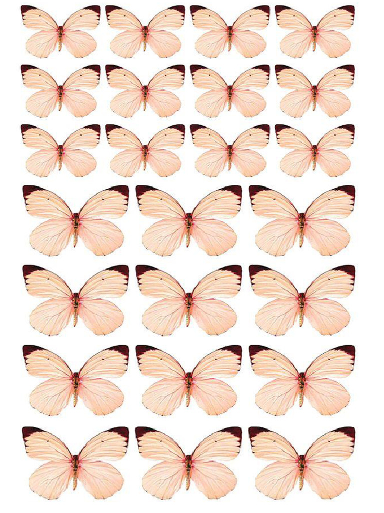 Mariposas Color Melon Hermosas PDF