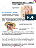 Plastia Posterior