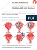 Enfermedad Trofoblástica Gestacional