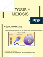 Mitosis y Meiosis