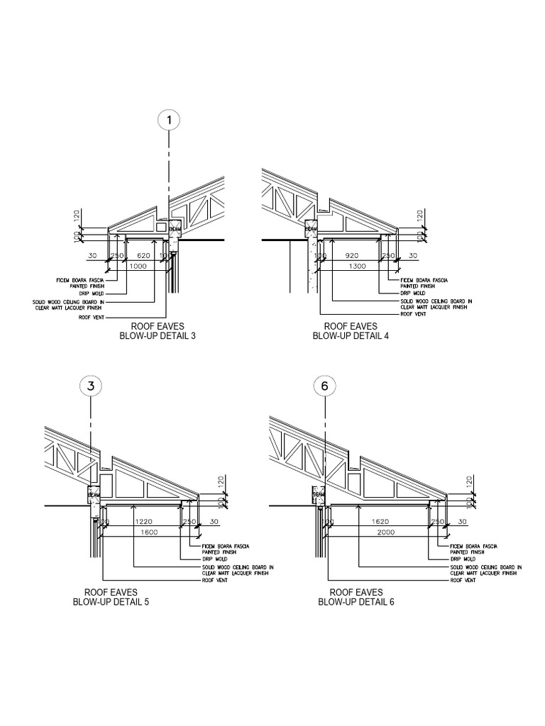 Blow Up Eaves Detail PDF