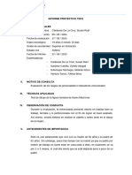 Formato de Informe - Proyectivo