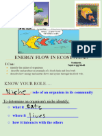 Energy Flow in Ecosystems: I Can