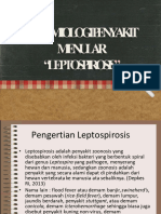  Leptospirosis