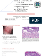 Dermatología - Histología