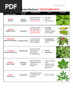 10 DOH-Approved Herbal Medicines | PDF