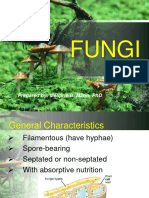 Unit 7c. Fungi