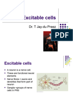 Excitable Cells Lecture 2