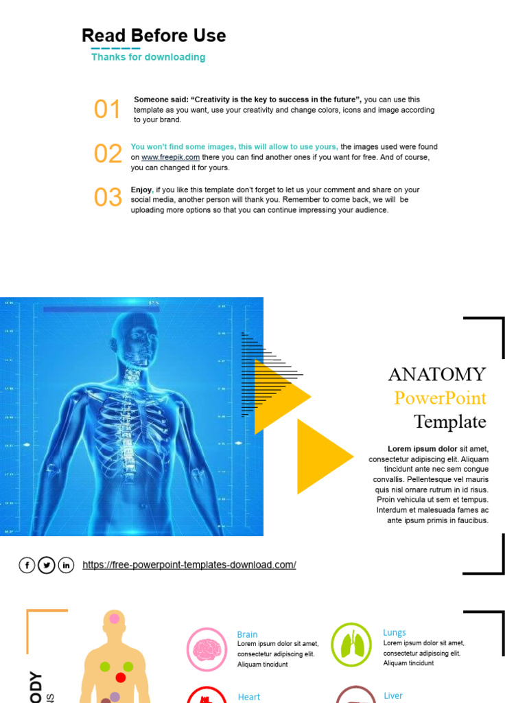 Free Human Anatomy PowerPoint Template | PDF | Human Body | Human Eye