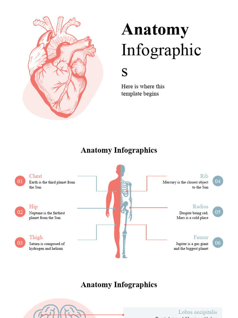 Anatomy Infographics by Slidego Download Free PDF Planets Solar