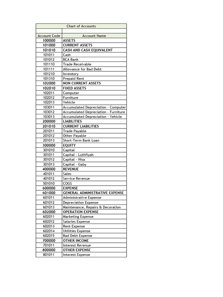 Comprehensive Chart of Accounts Guide | PDF