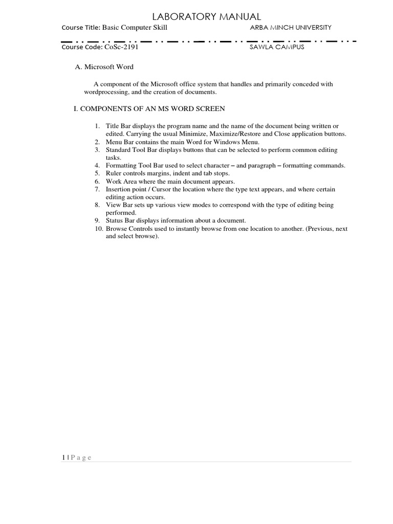 Basic Computer Skill | PDF | Microsoft Word | Microsoft Excel