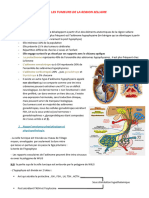 Neurochirurgie - Les Tumeurs de La Region Sellaire