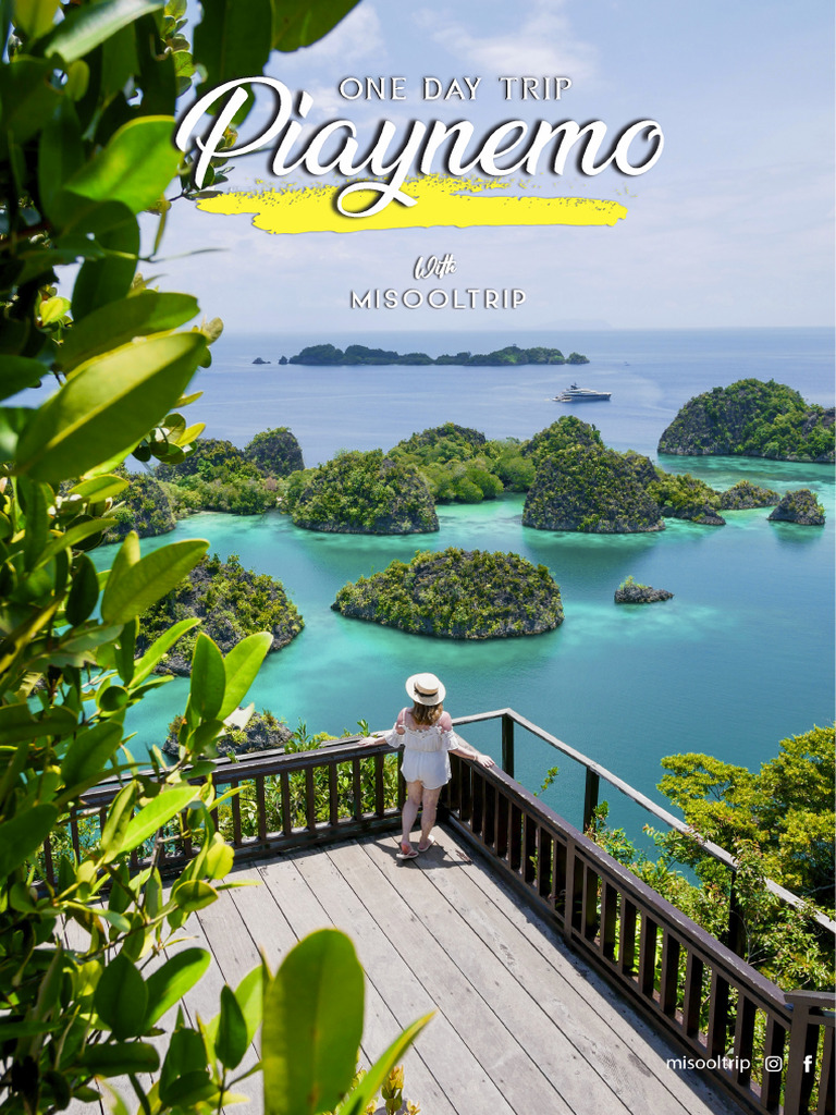 One Day Trip | PDF