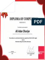 Diploma of Completion: Ali Adan Shuriye