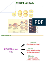 4 Pembelahan Sel