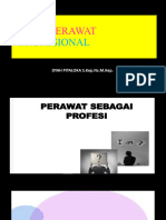 Peran Perawat Profesional