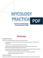 Mycology Practical 16 8 23