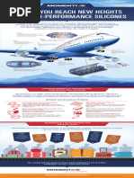 Momentive Aviation Infographic