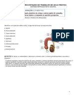 Roteiro ALUNO - Sistema Reprodutor e Genital Leandro 2.0