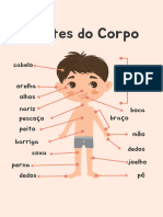 Partes Do Corpo