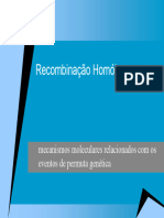 recombinacao_homologa