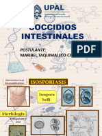 Coccidios Intestinales. OFICIAL