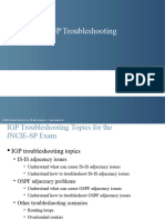 IGP Troubleshooting