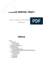 FGT 2 Uterus To Trophoblastic