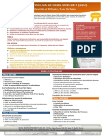 Reussir La Certification Lean Six Sigma Green Belt (Iassc)