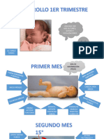 Desarrollo 1er y 2do Trimestre