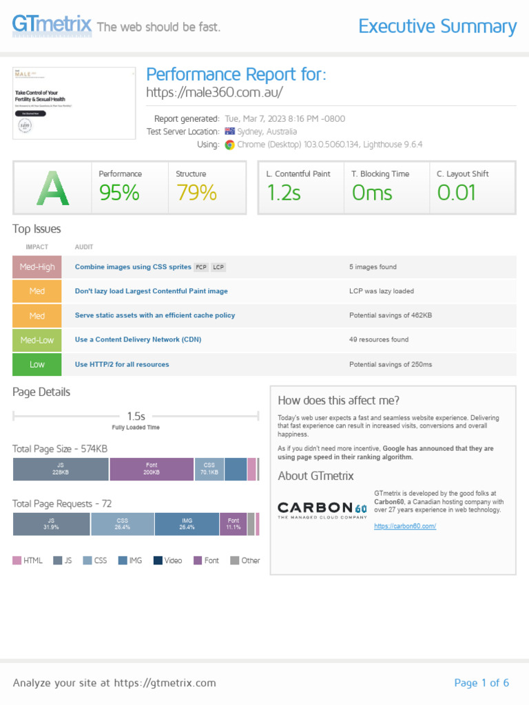 GTmetrix Performance Analysis Report | PDF | Computer Science ...