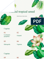 Mediul Tropical Umed