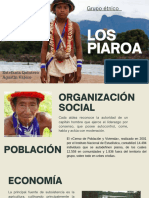 Piaroa Formación Cultural