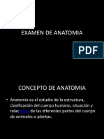 EXAMEN DE ANATOMIA