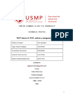 INFORME 05 mneyram-01M12-VI-10-1