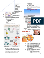 Adaptive Immune System Notes